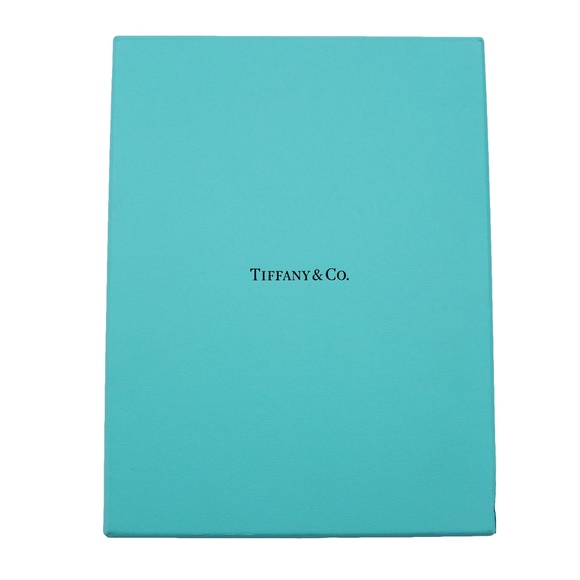 TIFFANY & CO. STERLING SILVER MESH CIRCLE NECKLACE - Picture 6 of 6